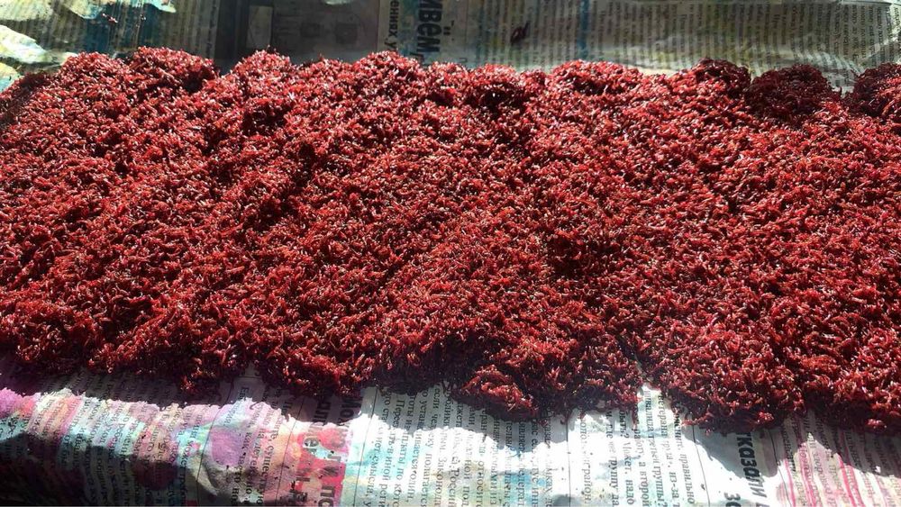 Продам дрібний кормовий мотиль