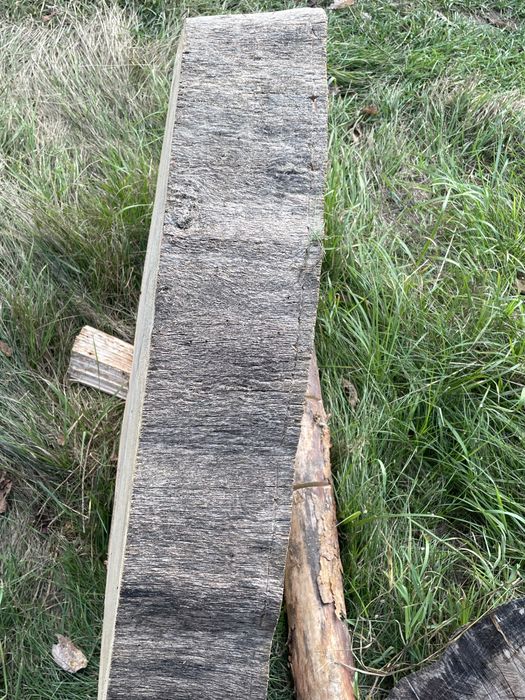 Plastry Dębowe 100cm