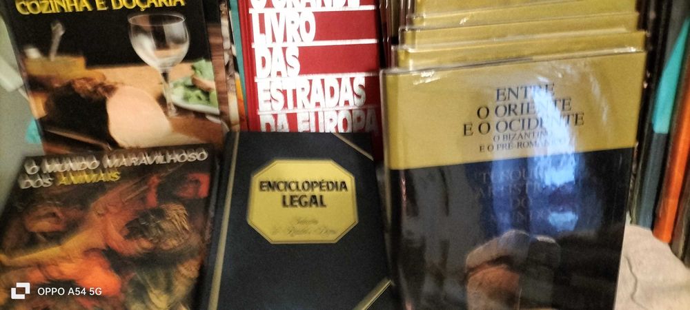 Diversos livros e enciclopédia