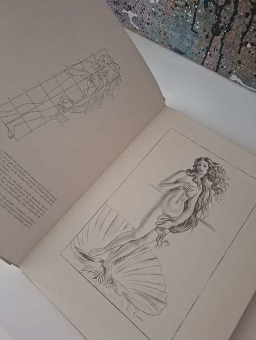 2 livros pintura  5 euros