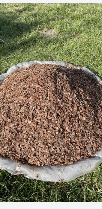 Кора соснова декоративна 50л