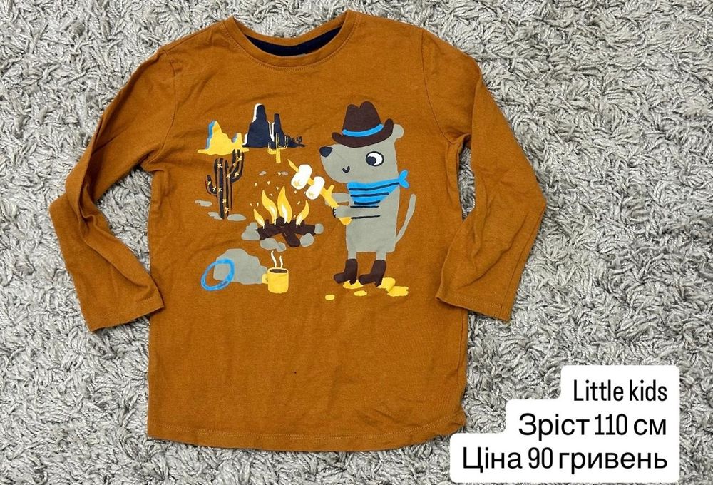 Дитячі речі на хлопчика на  2-4 роки світшоти,лонгсліви,штани