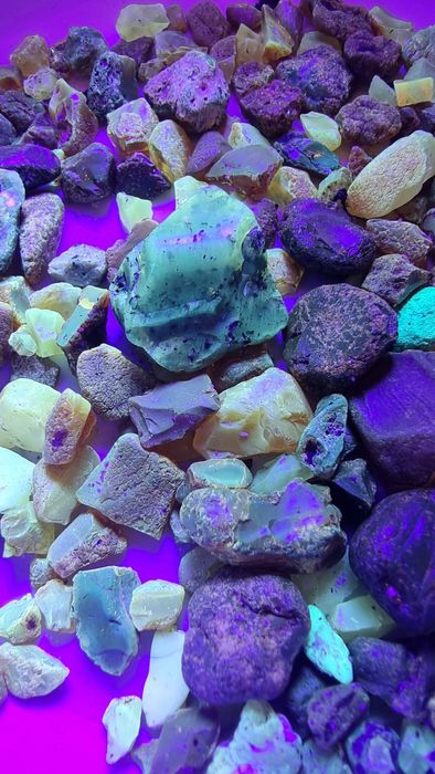 Latarka UV Poszukiwanie Bursztynu duża Moc