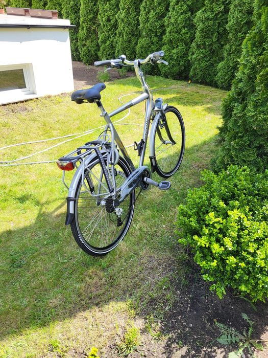 Rower Gazelle Medeo 65H Limited edition