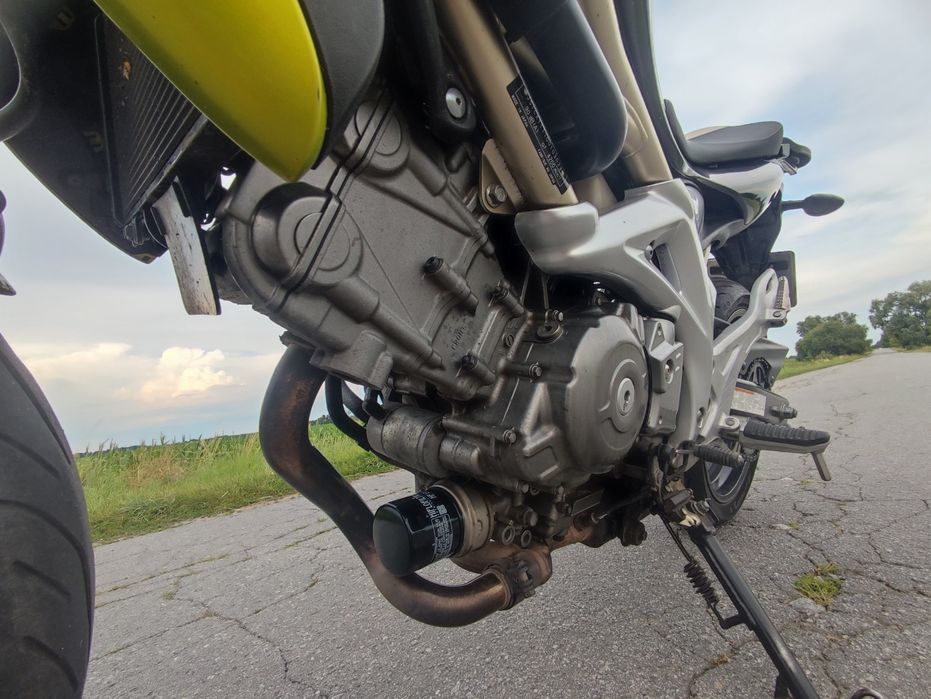 Suzuki sfv sv 650 Gladius