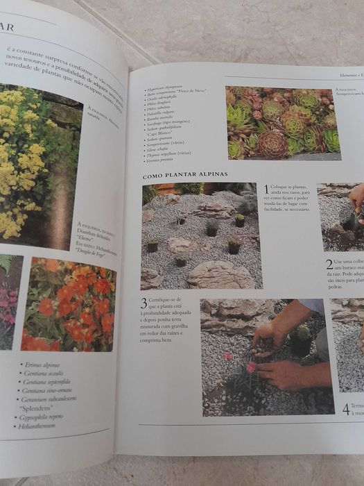 Manual Prático de Jardinagem