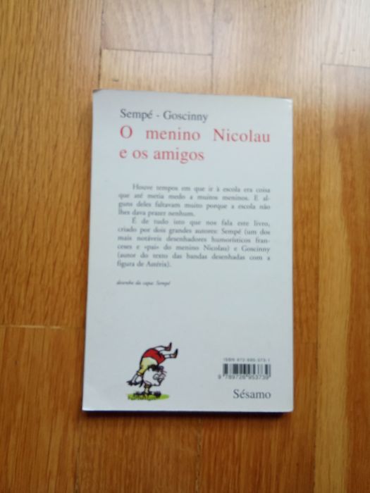 O menino Nicolau e os amigos