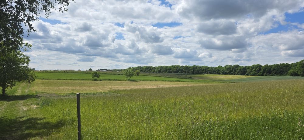 Продам ділянку 12сот в Заборолі