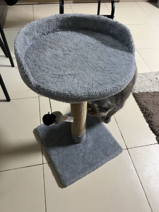 Когтеточка для кошек с полочкой