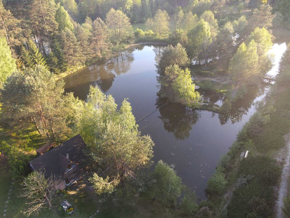 Agroturystyka "Pod Szyszką" (wyspa z grillem i altaną, wędkarstwo)