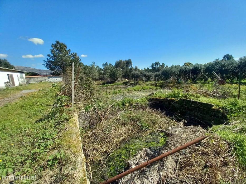 Quinta com 24750m2 Louriçal do campo
