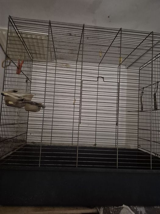 Gaiola de pássaros de grande porte