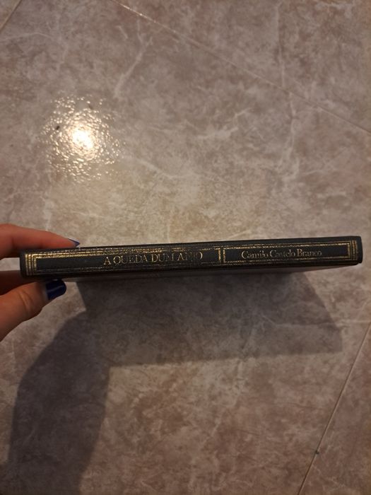Livro A Queda Dum Anjo