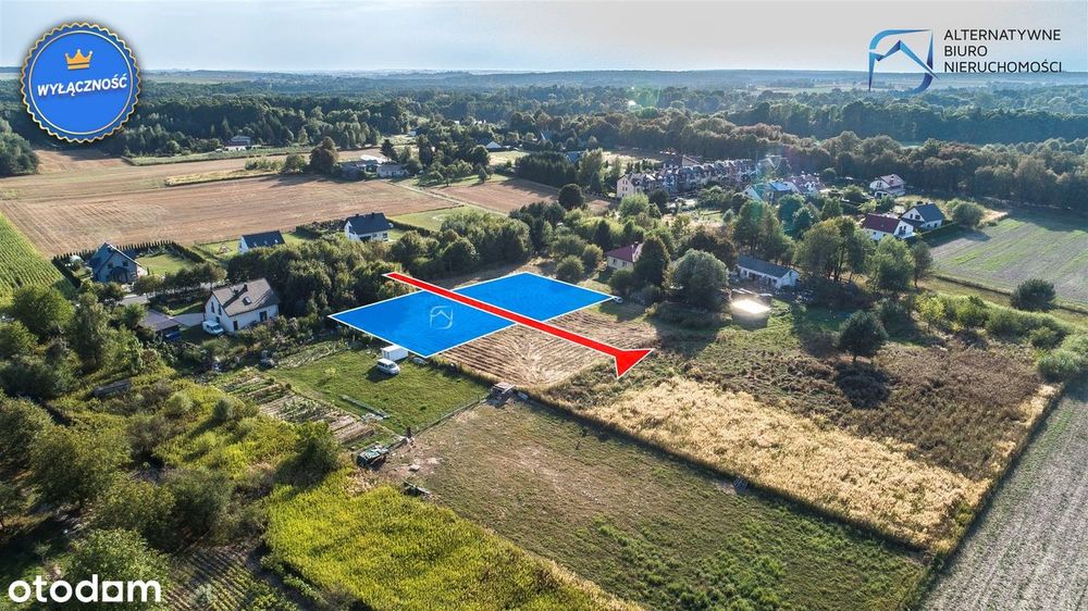 Działki budowlane w Żabiej Woli gm. Strzyżewice