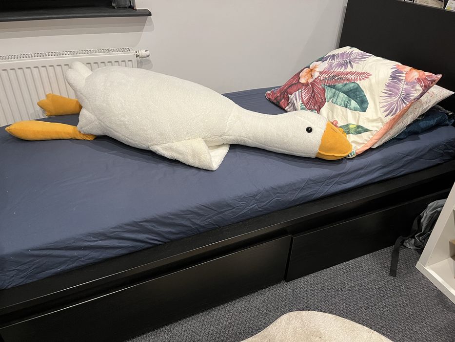 Zestaw mebli Ikea - łóżko, regał, biurko
