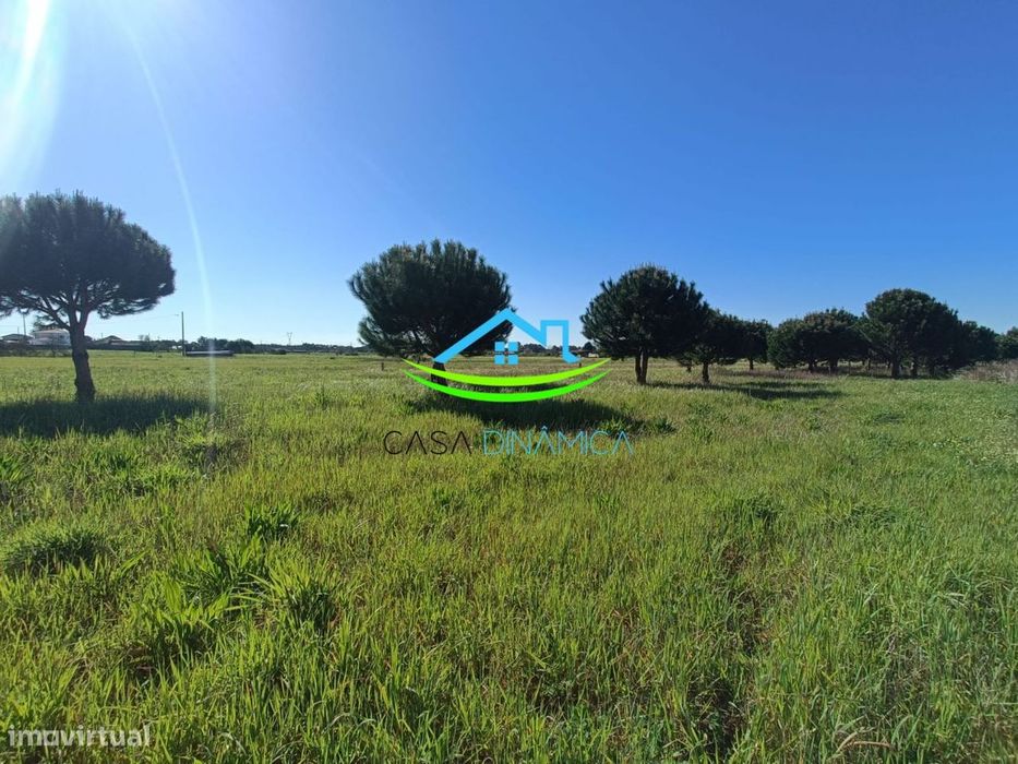 Terreno com Viabilidade de Construção a 10 Minutos da Praia – Araz