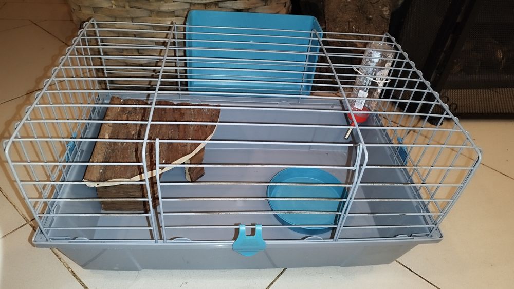 Gaiola para Porquinho da Índia