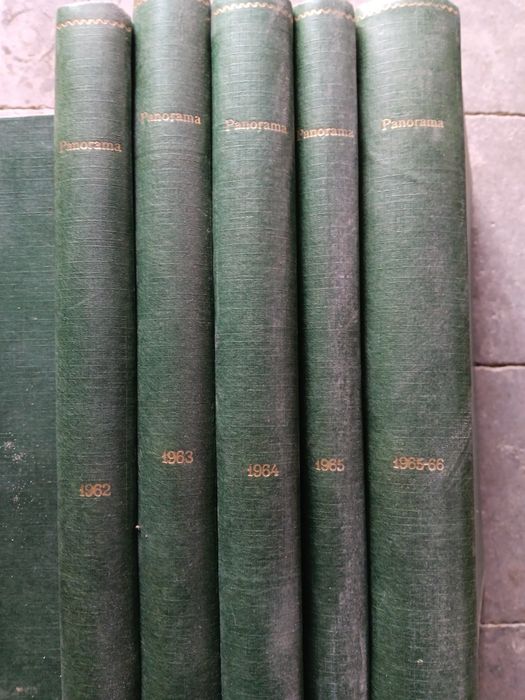 Revista panorama - lote