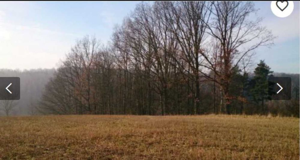 Piękna działka na skarpie na Kaszubach, Piekło Górne 4 289 m² - Widok 3