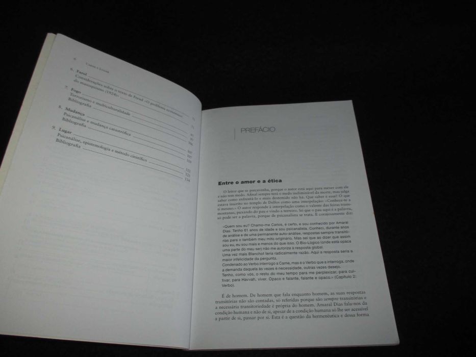 Livro Carne e Lugar Carlos Amaral Dias