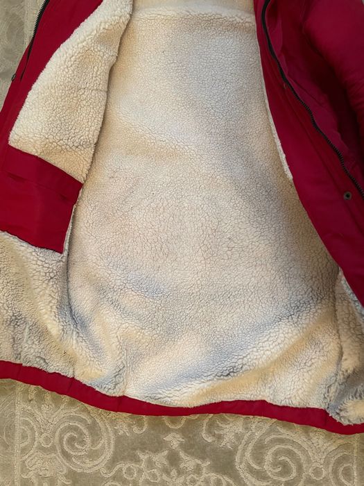 Зимова парка Dasti