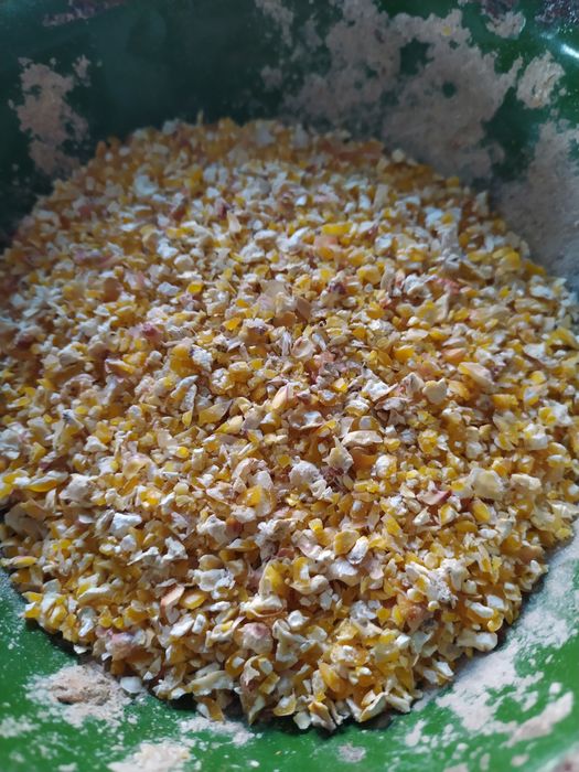 Pasza Kukurydza gnieciona kruszona, jęczmień, pszenica