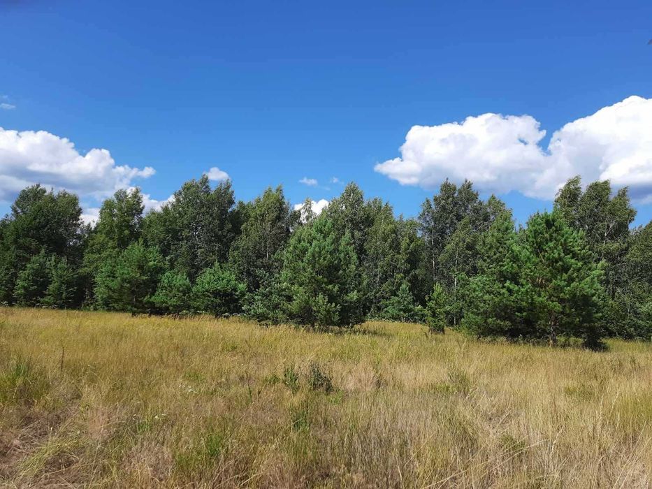 Пилява, 35 соток для будівництва. Заповідник. Супермісце!