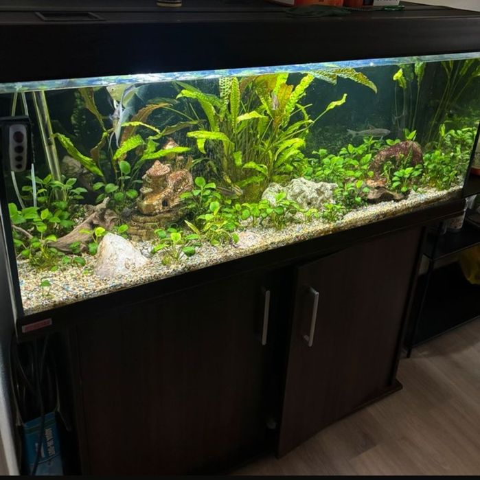 Akwarium Eheim 240 litrów, pełny zestaw,  szafka