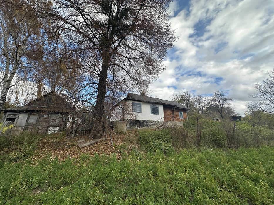 Продам будинок біля озера в Городищі