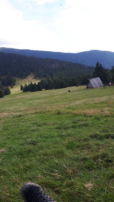 Pelet  6mm dostępny od ręki polski producent  1000kg 1450zł