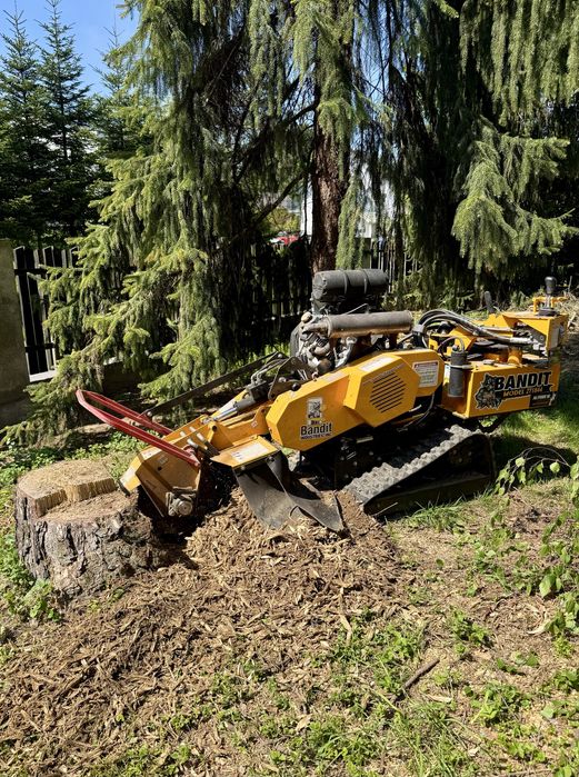 Frezowanie pni, usuwanie pni, frezowanie korzeni, karczowanie