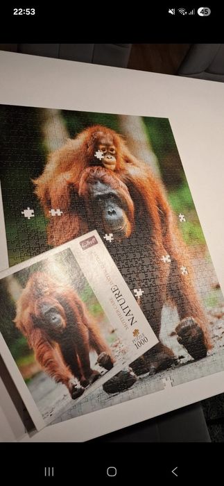 puzzle 1000 trefl