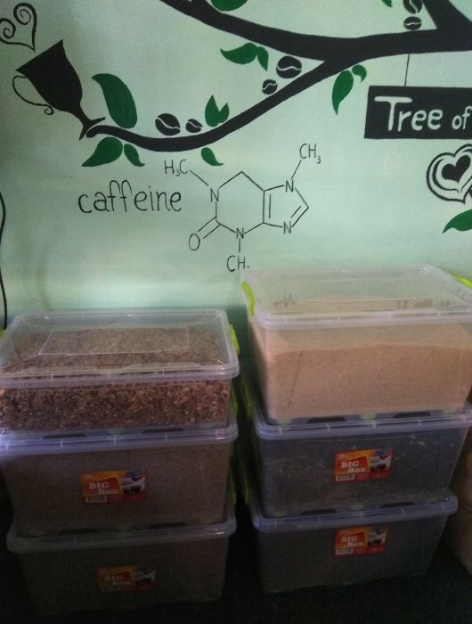 Олія волоського горіху бочковий віджим під замовлення, ціни на 2фото