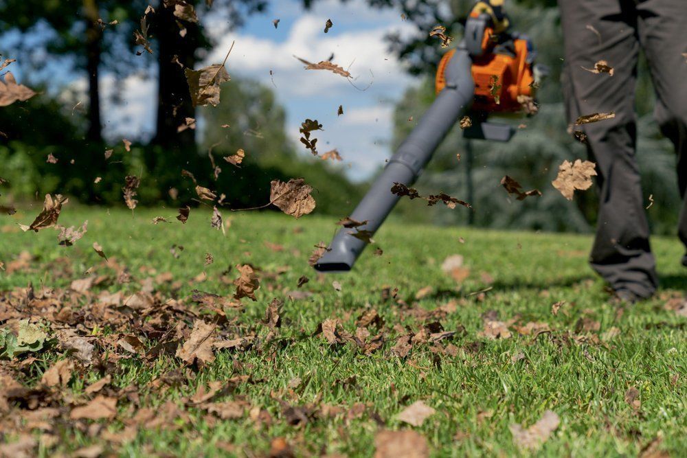Oleo Mac Bv 250 Odkurzacz Spalinowy Ogrodowy Dmuchawa Do Liści Klasa