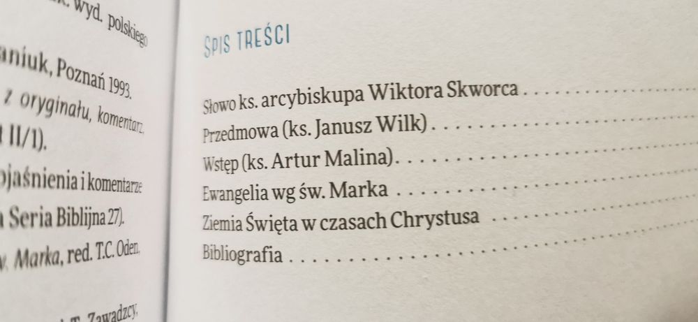Biblia impulsy Artur Malina Janusz Wilk