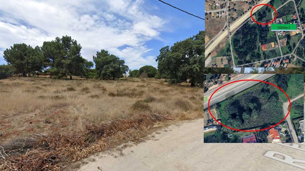 Terreno Urbano com 5.000m2 em zona consolidada - Alhos Vedros