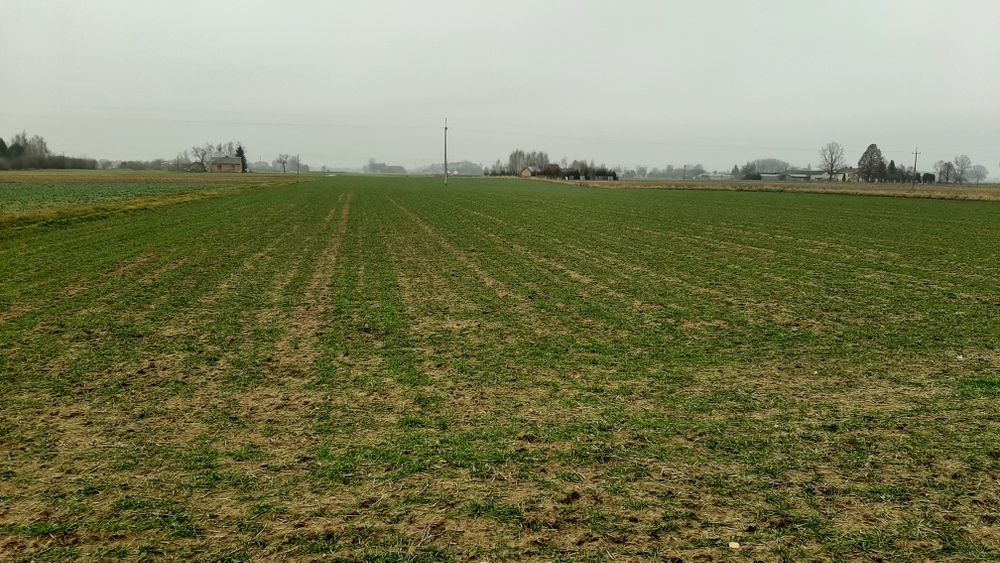 Działki budowlane Podkampinos