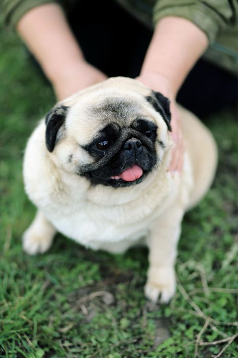 Девочка 4.5 года.