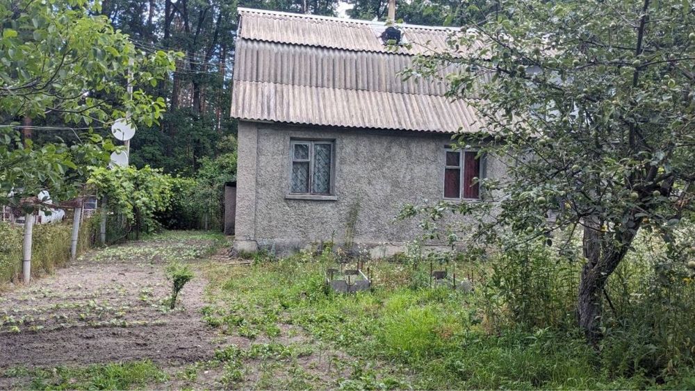 Продам дачу біля лісу садове товариство «Горизонт»