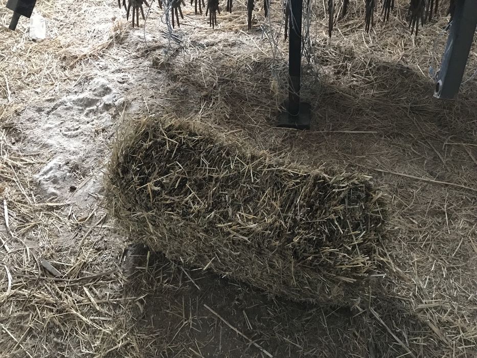 Сіно різнотравя в тюку.