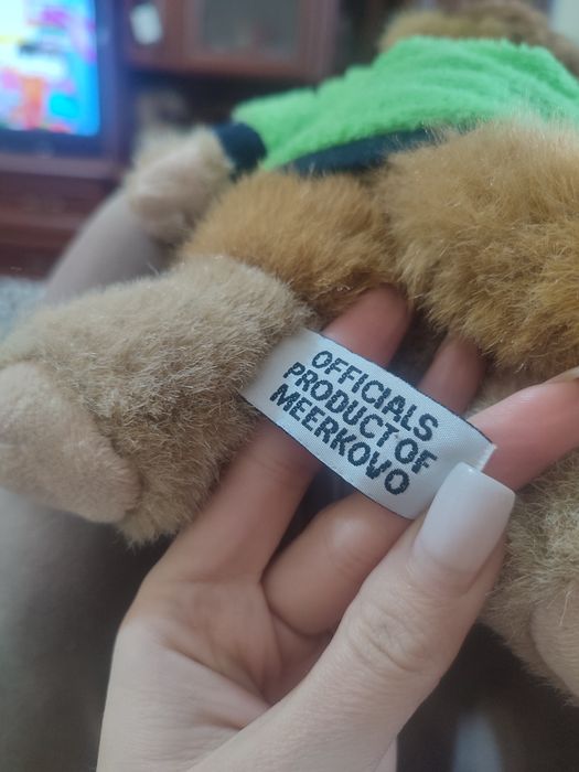 Сурикат учитель  !