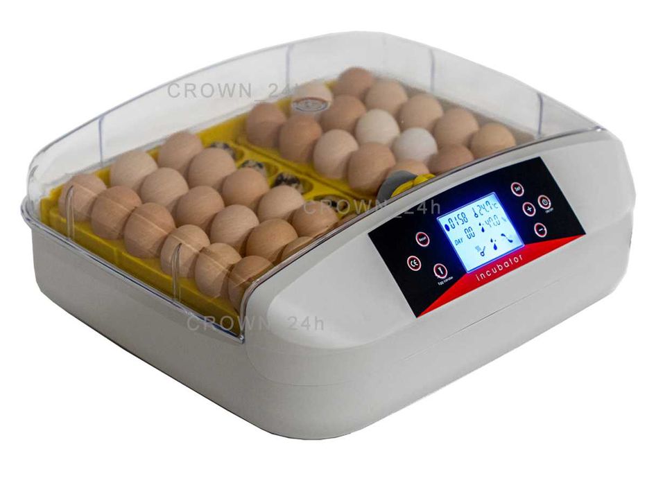 INKUBATOR AUTOMAT NA 42 JAJ 230V klujnik wylęgarka + OWOSKOP