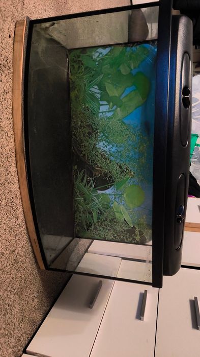 Akwarium  112l + jakieś akcesoria