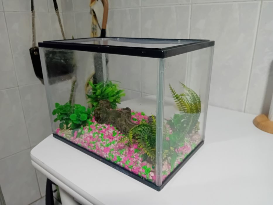 Aquário com acessórios