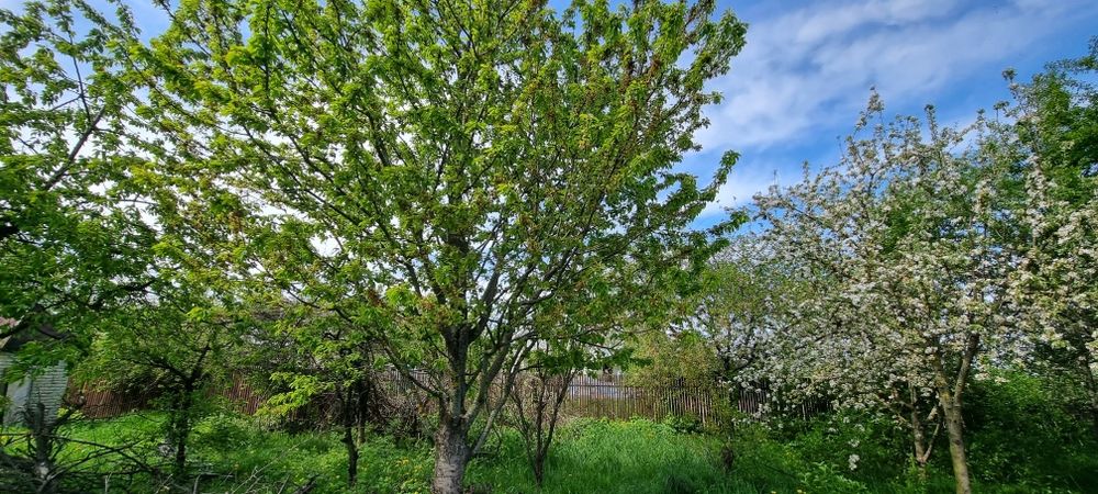 Без % Продаж Будину Макарів с.Наливайківка