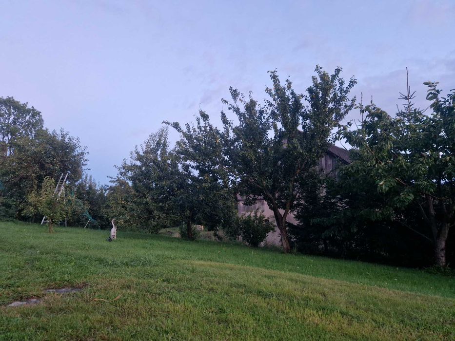 Dom – Worławki - Widok 5