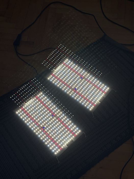 Світлодіодний світильник Led Quantum Board Samsung LM301H 240W