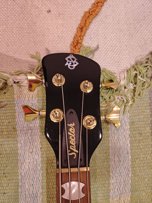 Spector Euro 4 LX POPB Poplar Burl Gloss