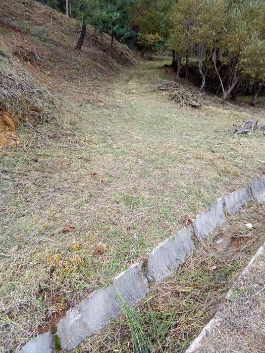 Limpeza de terrenos.