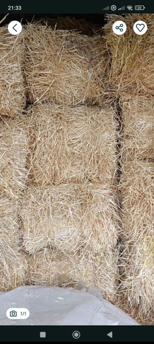 Продам солому 2025